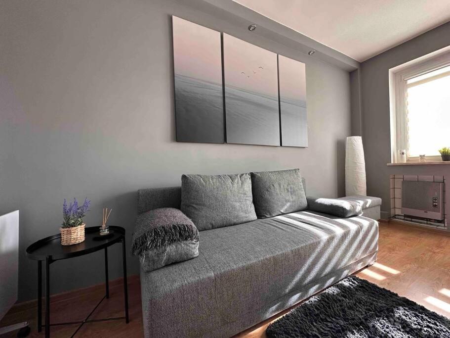 Cozy Place Zabrze Zewnętrze zdjęcie